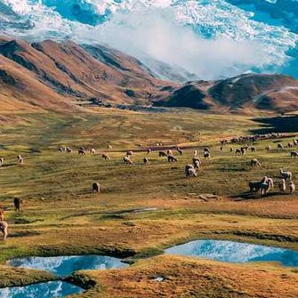 paysage-de-lamas-et-de-lacs-devant-les-montagnes-de-lausangate-au-pero